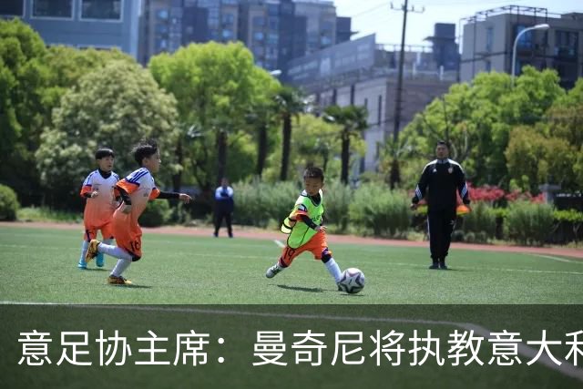 意足协主席：曼奇尼将执教意大利国家队